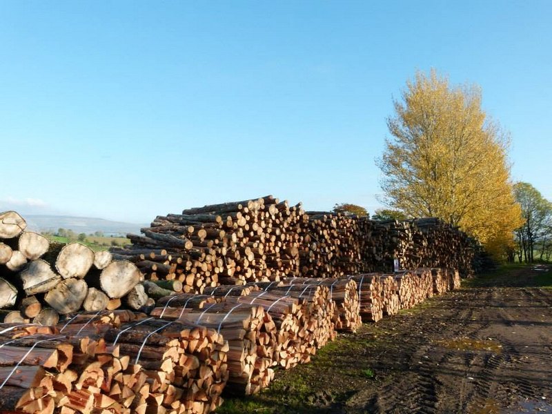 Stacked wood